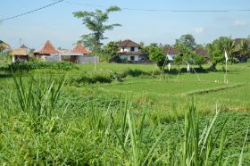 DSC_0082.JPG